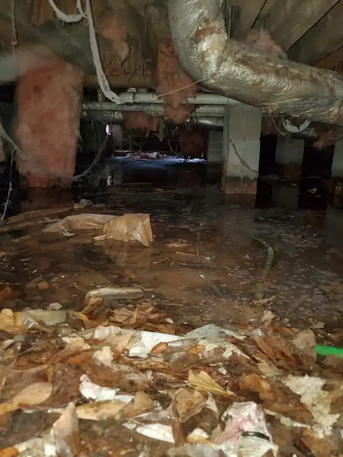 Crawl space flood assessment for Leak Detection & Repair in Fresno