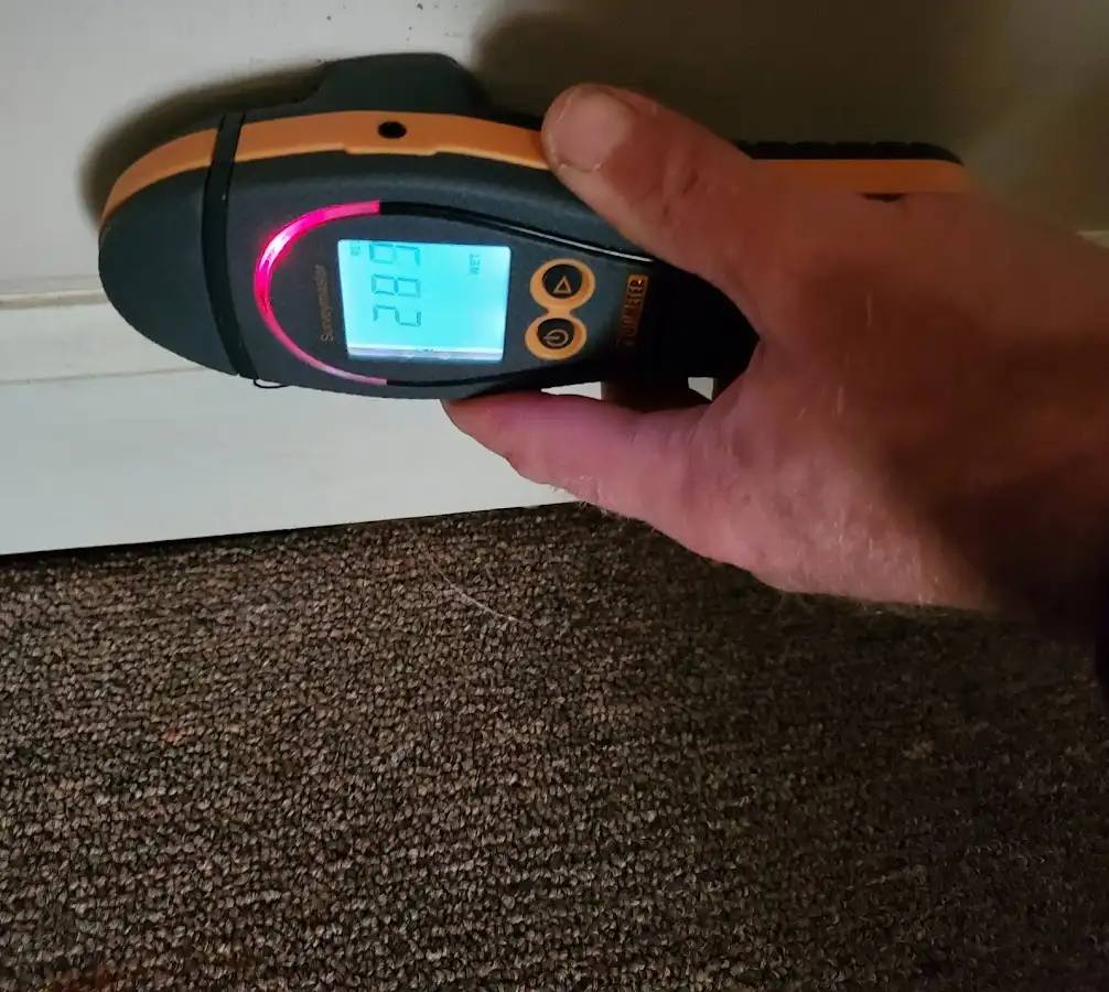 Moisture detection at baseboard during Mold Inspection & Testing in Fresno